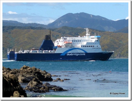 Bluebridge ferry "Straitsman" with a cargo of motorhomes heading South.