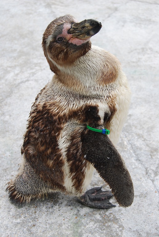 [DSC_0397%255B4%255D.jpg]