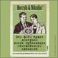 Г.35  
Фасадная доска «Велико-Устюгское взаимное страховое общество 1865». Жесть,  21,5 x 30  см. Конец XIX–начало XX в. 
Из коллекции Я.А. Левина.