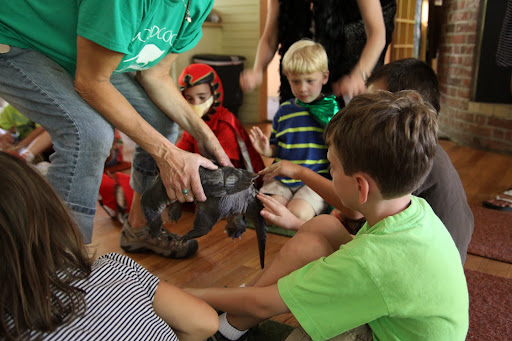 Guests touching a snapping turtle.