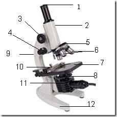 mikroskop modern