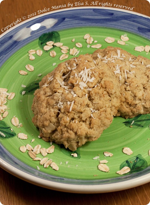 oatmeal-cookies-3