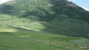 IMG_4246.jpg