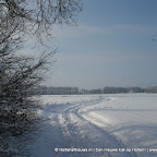 3-1-2010-063.jpg
