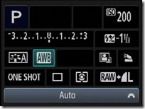 Canon EOS 600Dshooting information and menus a
