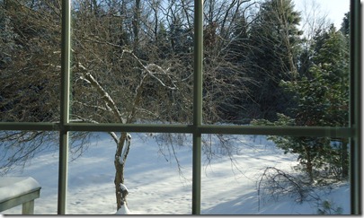 Winter morning 2012 001