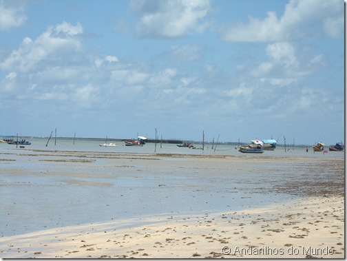 Praia de São Miguel dos Milagres Alagoas Barcos e Jangadas