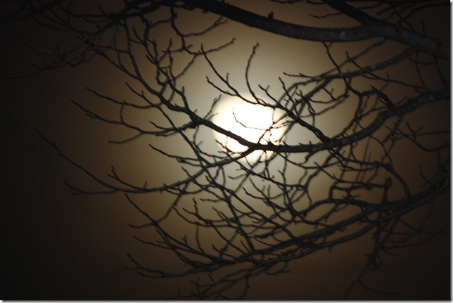 IMG_7586 IMG_7586