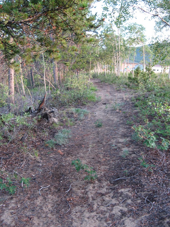 [IMG_5260%255B3%255D.jpg]
