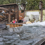 img_6250.jpg