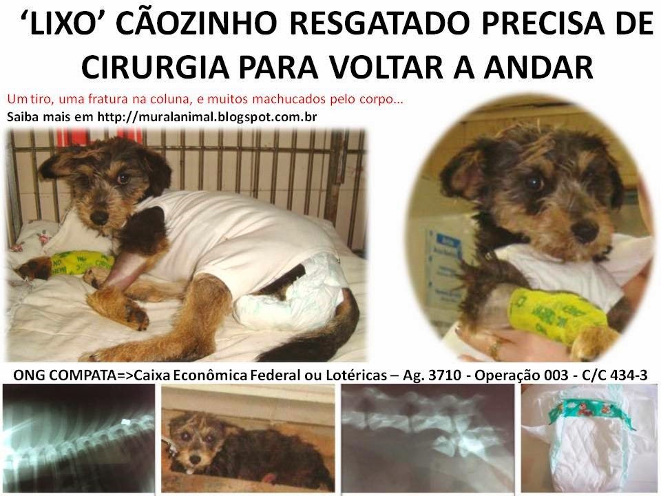 [LIXO%255B3%255D.jpg]