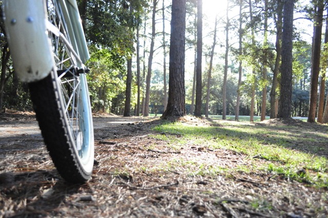 [10-3011%2520bike%2520%2520woods%2520245%255B7%255D.jpg]