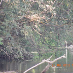 DSCN8248.JPG
