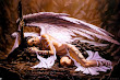 Crafty Angel Magic