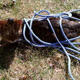 IMAG0195.jpg
