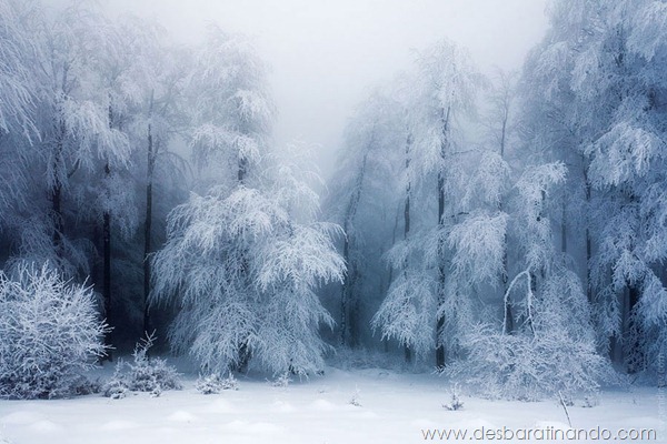 paisagens-de-inverno-winter-landscapes-desbaratinando (16) paisagens-de-inverno-winter-landscapes-desbaratinando (16)