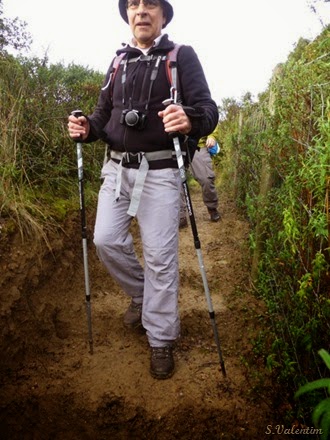 [P1140447%255B1%255D.jpg]