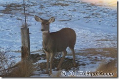 IMG_0281 IMG_0281