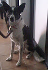 KIARA
2009