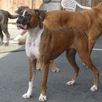 DSCN4935.jpg