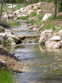 [Park6Bsmall%255B5%255D.jpg]