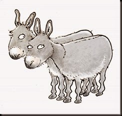 donkey5 donkey5