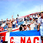 telon04.jpg