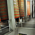 DSC_7762.jpg