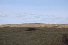 DSC_0325.JPG