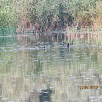 IMG_7913.JPG
