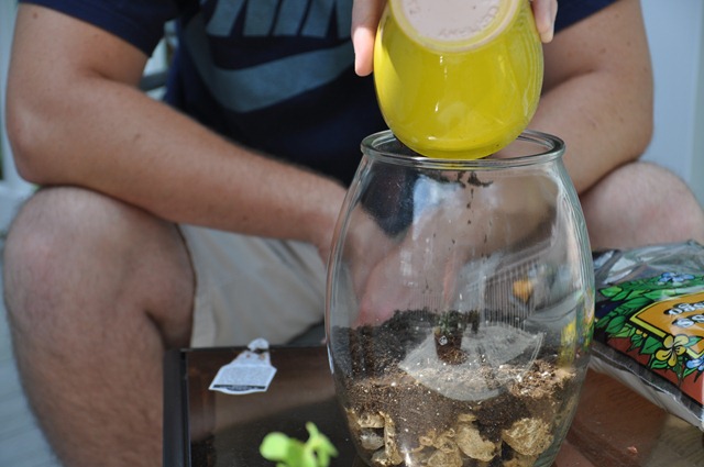 [023%255B3%255D.jpg]