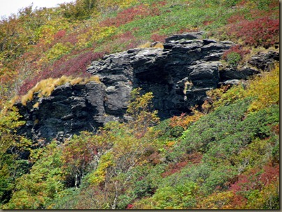 top of Craggy Gardens overlook