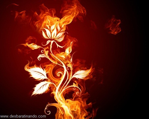 wallpapers fogo fire desbaratinando (31) wallpapers fogo fire desbaratinando (31)