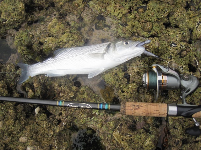 [IMG_0709%255B5%255D.jpg]