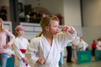 copyright by http://shotokanryu.de mit freundlicher Genehmigung von Hans Wiedl