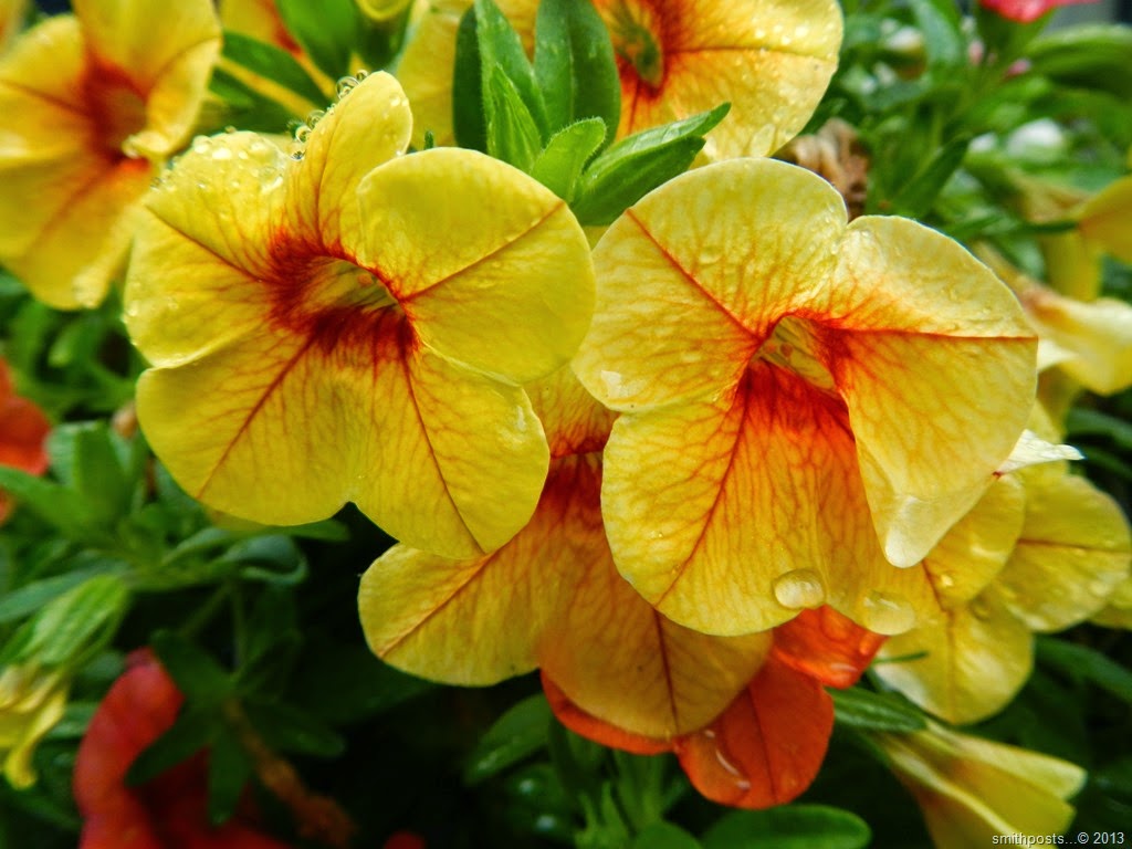 [DSCN6877%255B3%255D.jpg]