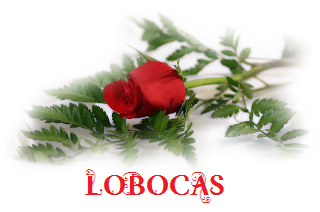 [rosa-LoBocAs-5005%255B3%255D.png]