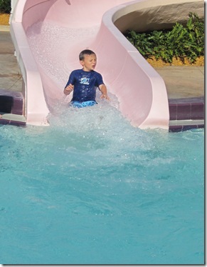 IMG_0086 IMG_0086