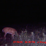 MDGC0260.JPG