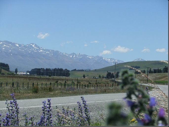 DSCF0513 DSCF0513