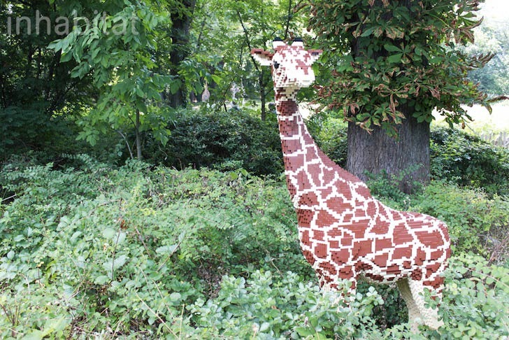 [bronx-zoo-lego-giraffe%255B8%255D.jpg]