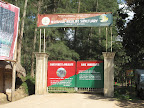 Wayanad Wildlife Sanctuary