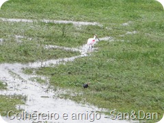 PA082614 PA082614