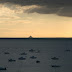 Port Mer : vue sur le Mont-Saint-Michel