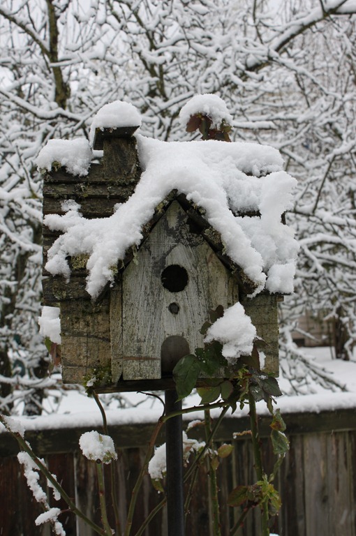 [023%255B4%255D.jpg]