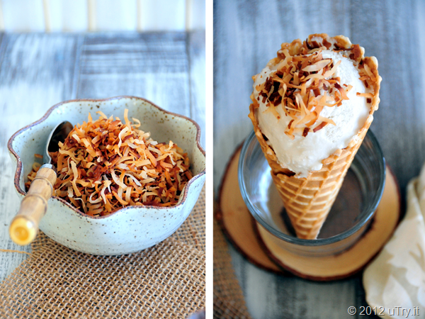 Toasted Coconut and Ice Cream Cone
