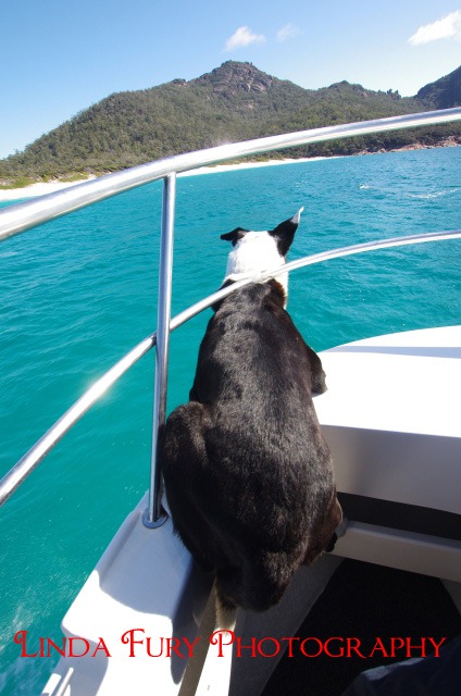 [Cruise%2520033%255B3%255D.jpg]