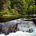DSCN7181.JPG