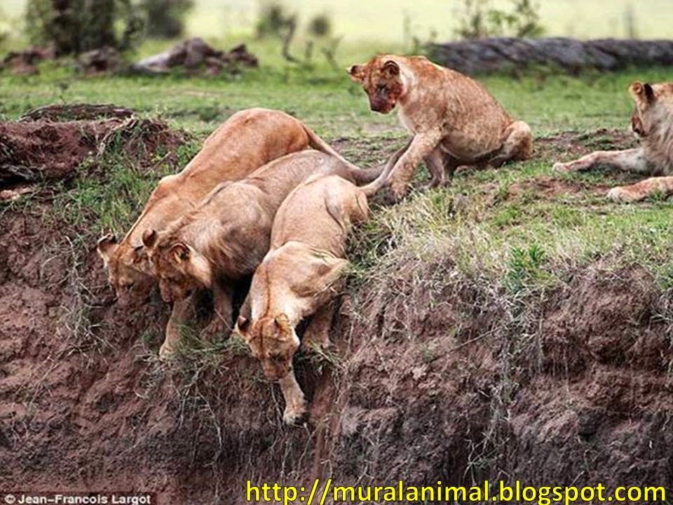 [Slide2%255B3%255D.jpg]