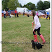 Pet Dogs 021.jpg